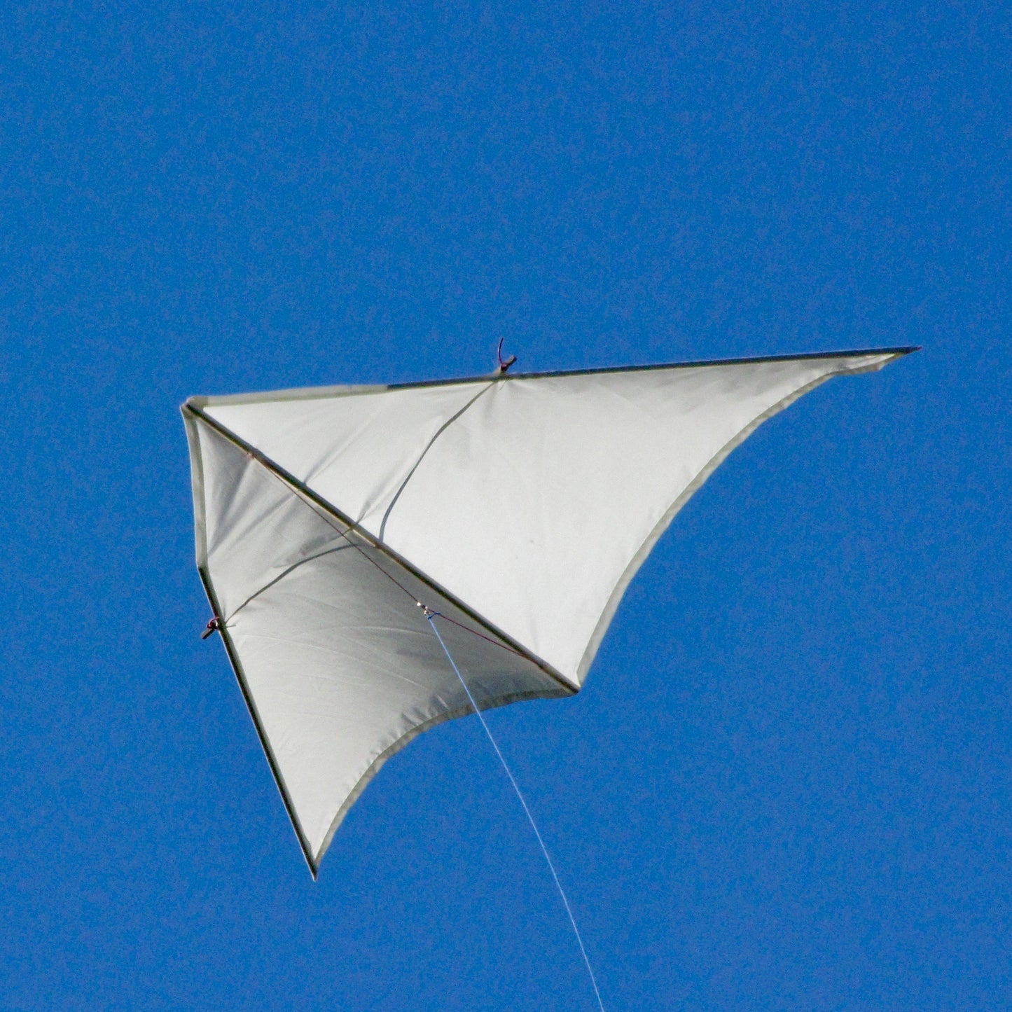 Naked Kite